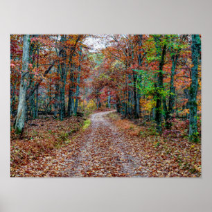 Affiche Affaire On the Dirt Road new