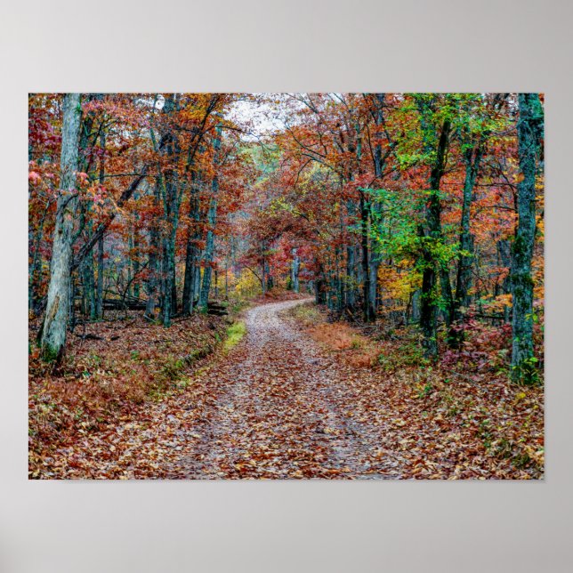 Affiche Affaire On the Dirt Road new (Devant)
