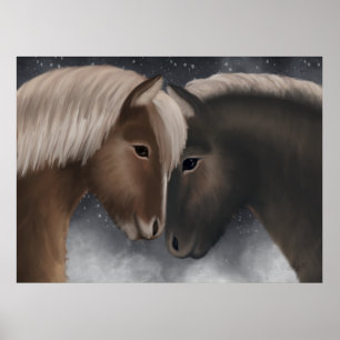 Affiche Affection arctique : Chevaux islandais en Embrac n
