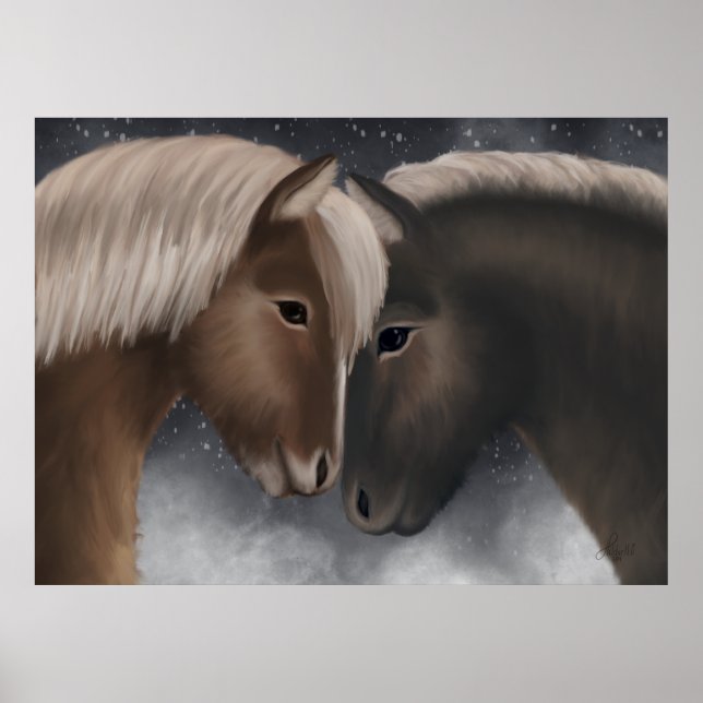Affiche Affection arctique : Chevaux islandais en Embrac n (Devant)