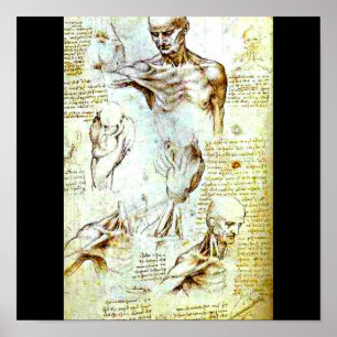 Affiche Affiche-Classique/Cru-Leonardo da Vinci 13