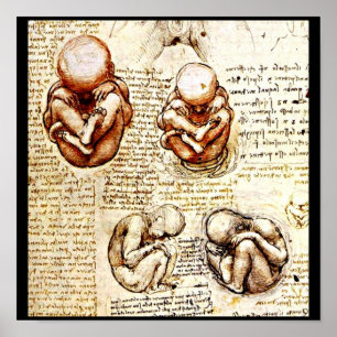 Affiche Affiche-Classique/Cru-Leonardo da Vinci 9