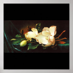 Affiche Affiche-Classique/Cru-Martin Johnson Heade 24