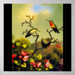 Affiche Affiche-Classique/Cru-Martin Johnson Heade 5
