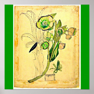 Affiche Affiche-Cru-Charles Rennie Mackintosh 21