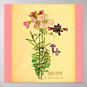Affiche Affiche-Cru-Charles Rennie Mackintosh 29