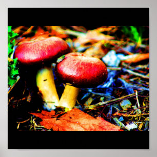 Affiche Affiche-Nourriture/Drink-18