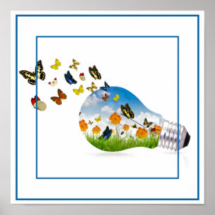 Affiche Affiche-Papillons 12" X12 "