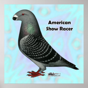 Affiche Afficher l'ASR racer