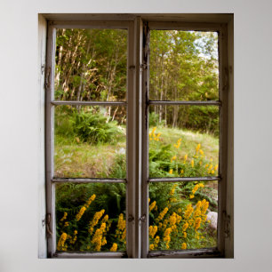 Affiche Afficher par l'ancienne fenêtre