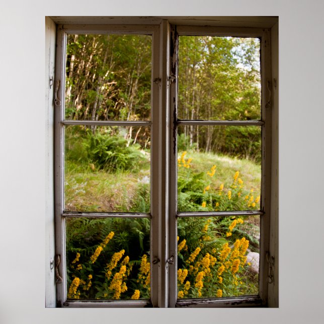 Affiche Afficher par l'ancienne fenêtre (Devant)