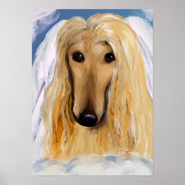 Affiche Afghan Hound (Devant)