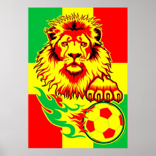 Affiche africaine de lion du football