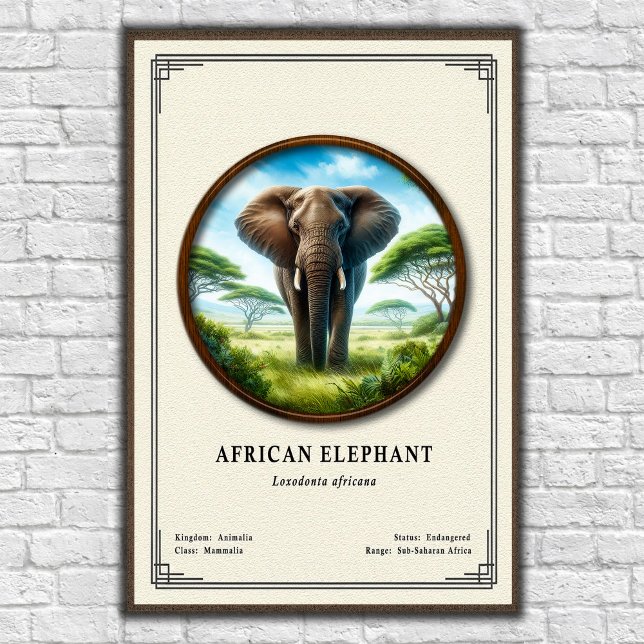 Affiche African Elephant Zoology Series (Créateur téléchargé)