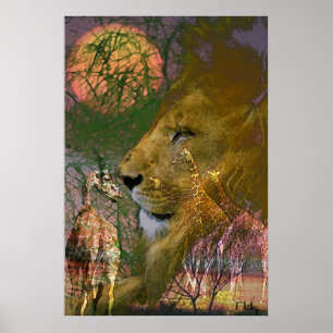 Affiche Afrique