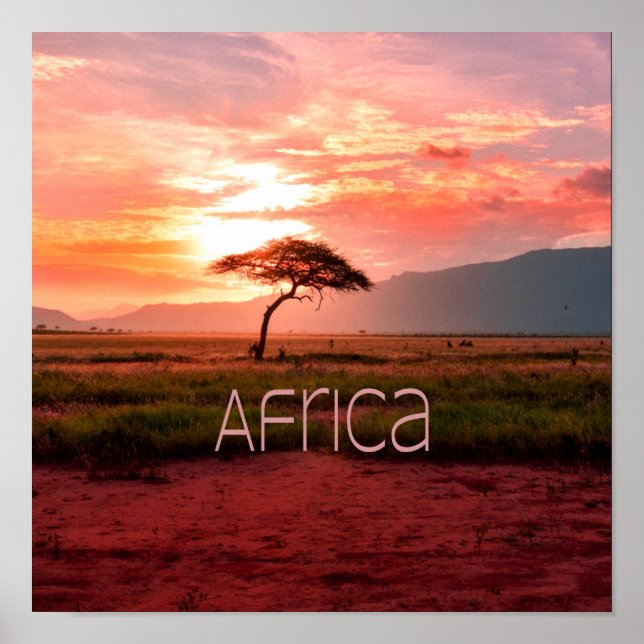 Affiche Afrique Coucher de soleil (Devant)
