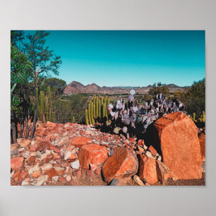 Affiche Afrique Désert Paysage Nature Cactus Plante Postc