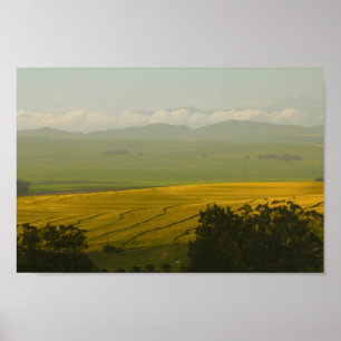 Affiche Afrique du Sud Paysage rural Canola Fields