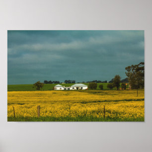 Affiche Afrique du Sud Paysage rural Canola Fields