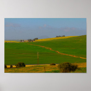 Affiche Afrique du Sud Paysage rural Canola Fields