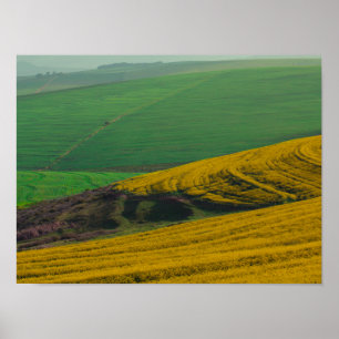 Affiche Afrique du Sud Paysage rural Canola Fields