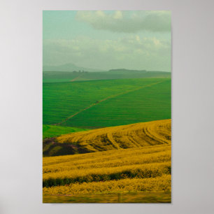 Affiche Afrique du Sud Paysage rural Champs de canola