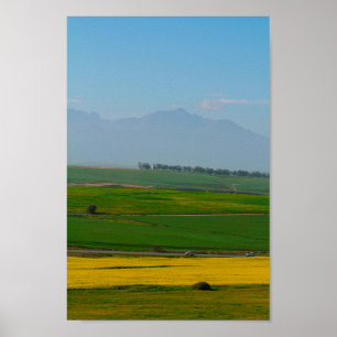 Affiche Afrique du Sud Paysage rural Champs de canola N7