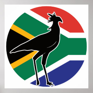 Affiche Afrique du Sud Secrétaire oiseau