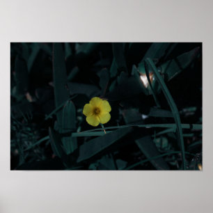 Affiche Afrique du Sud Vert Jaune Fleurs indigènes