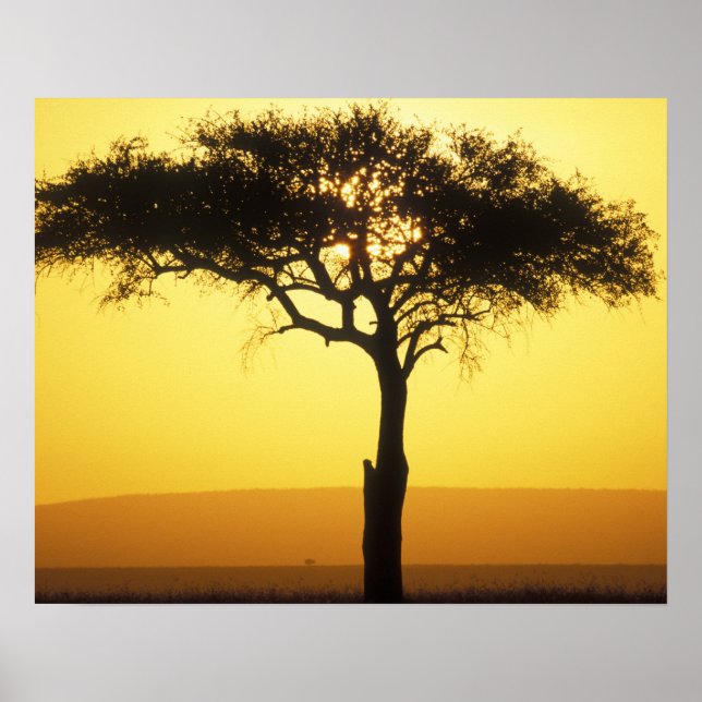 Affiche Afrique, Kenya, Masai Mara Game Reserve, Lever (Devant)
