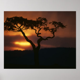 Affiche Afrique, Kenya, Réserve de Masai Mara, Cadre