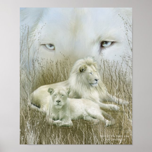 Affiche Afrique - Spirit Of The White Lion Art Poster/Impr (Devant)