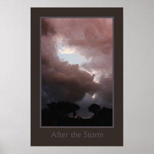 Affiche After the Storm