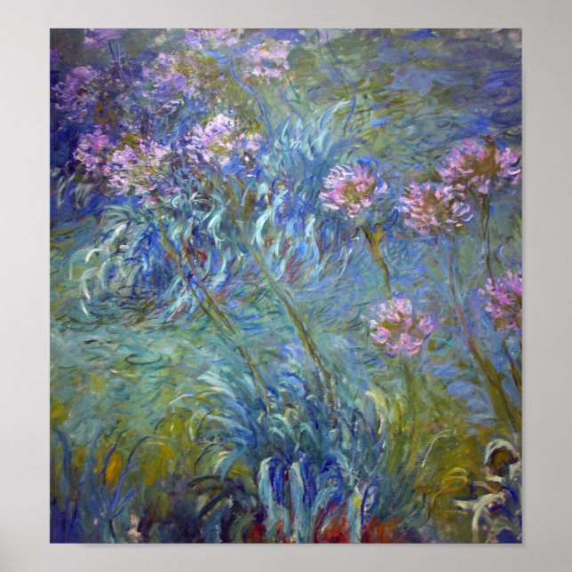 Affiche Agapanthus, Monet (Devant)