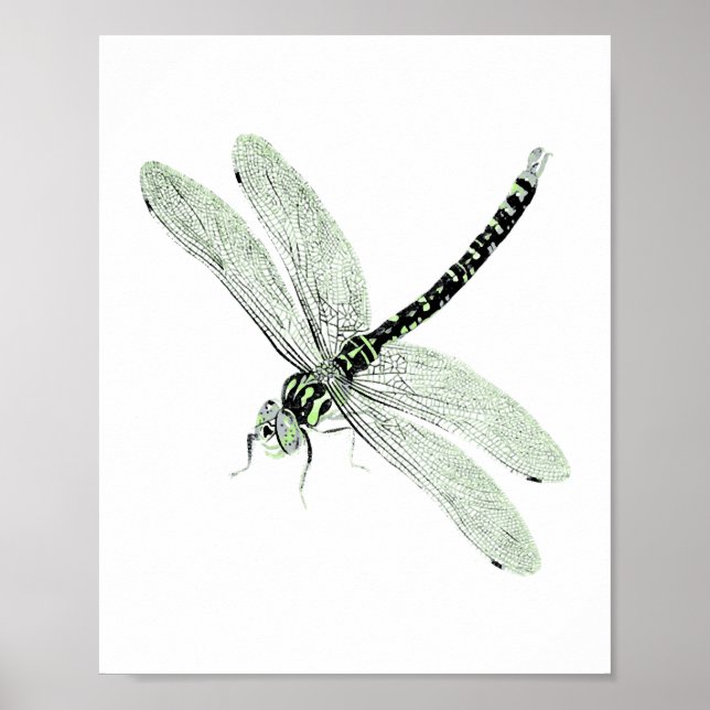 Affiche Agender Pride Vintage Dragonfly Art (Devant)
