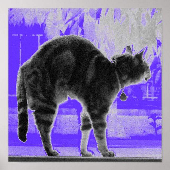 Affiche Agrandissement Indigo B+W (Devant)