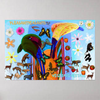 AFFICHE AGRÉABLE PAYSAGE ALBUM COVER