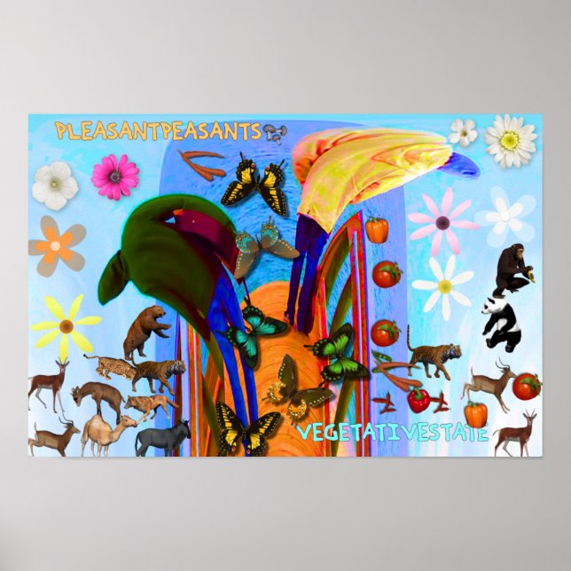 AFFICHE AGRÉABLE PAYSAGE ALBUM COVER (Devant)