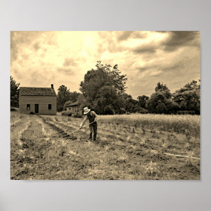 Affiche Agriculteur vintage cultivant la photographie de