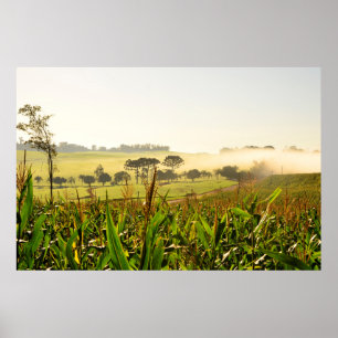 Affiche Agriculture Brésil