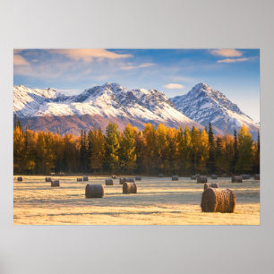 Affiche Agriculture de l'Alaska