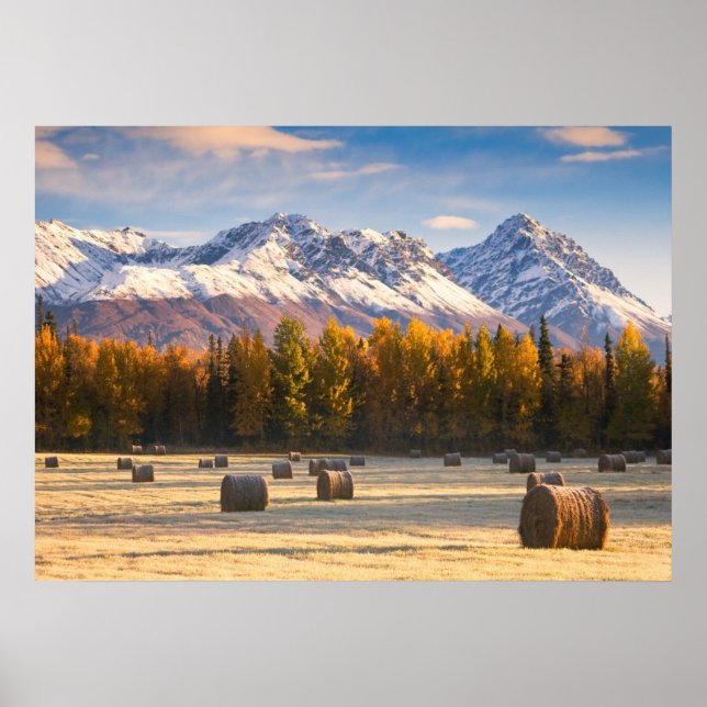 Affiche Agriculture en Alaska (Devant)