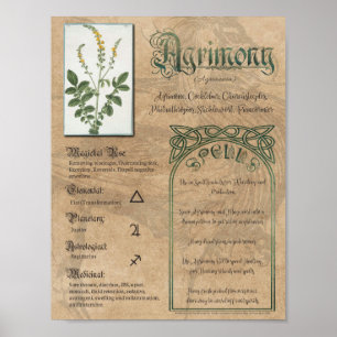 Affiche Agrimony Herbal Livre d'ombres Pagan Wiccan