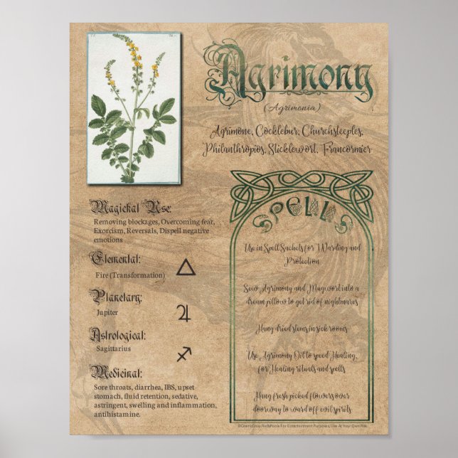 Affiche Agrimony Herbal Livre d'ombres Pagan Wiccan (Devant)