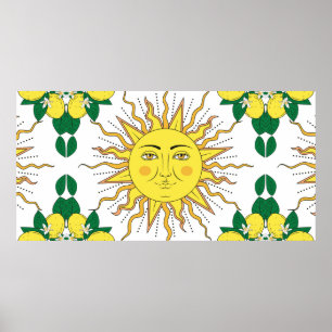 Affiche agrumes tropicaux citrons fruits à fleurs encadren