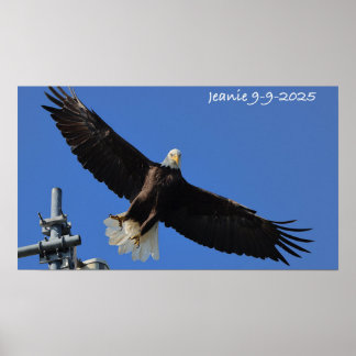 Affiche Aigle