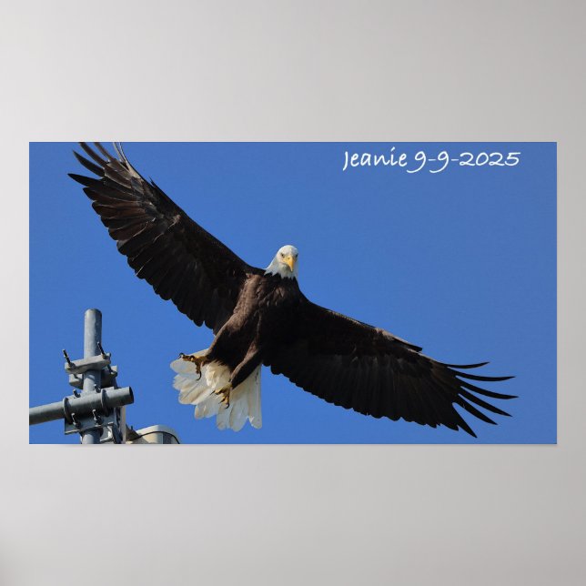 Affiche Aigle (Devant)