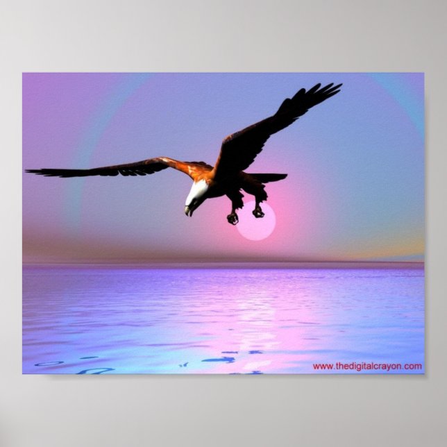 Affiche Aigle (Devant)