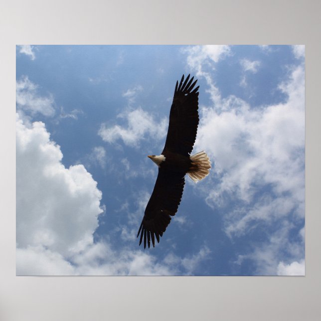 Affiche Aigle 2025 (Devant)
