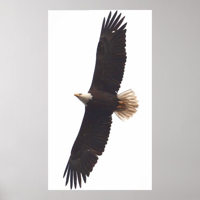 Affiche Aigle 20 avril 2025 (Devant)